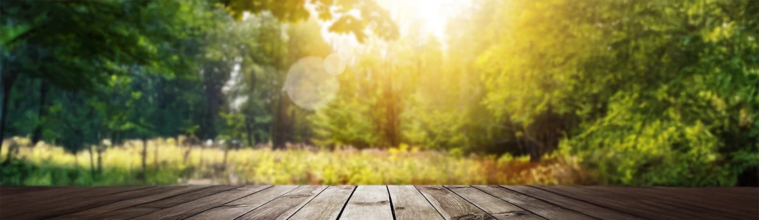 General Dentistry in San Jose CA