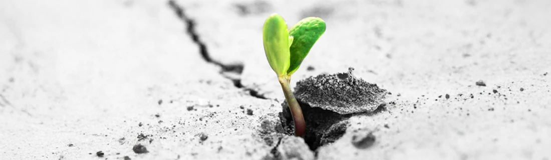 Pediatric Dentist Questions in San Jose CA