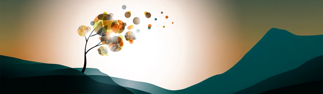 Gum Lifts in San Jose CA