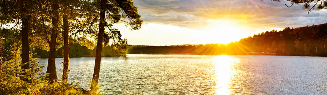 Root Canal Symptoms in San Jose CA